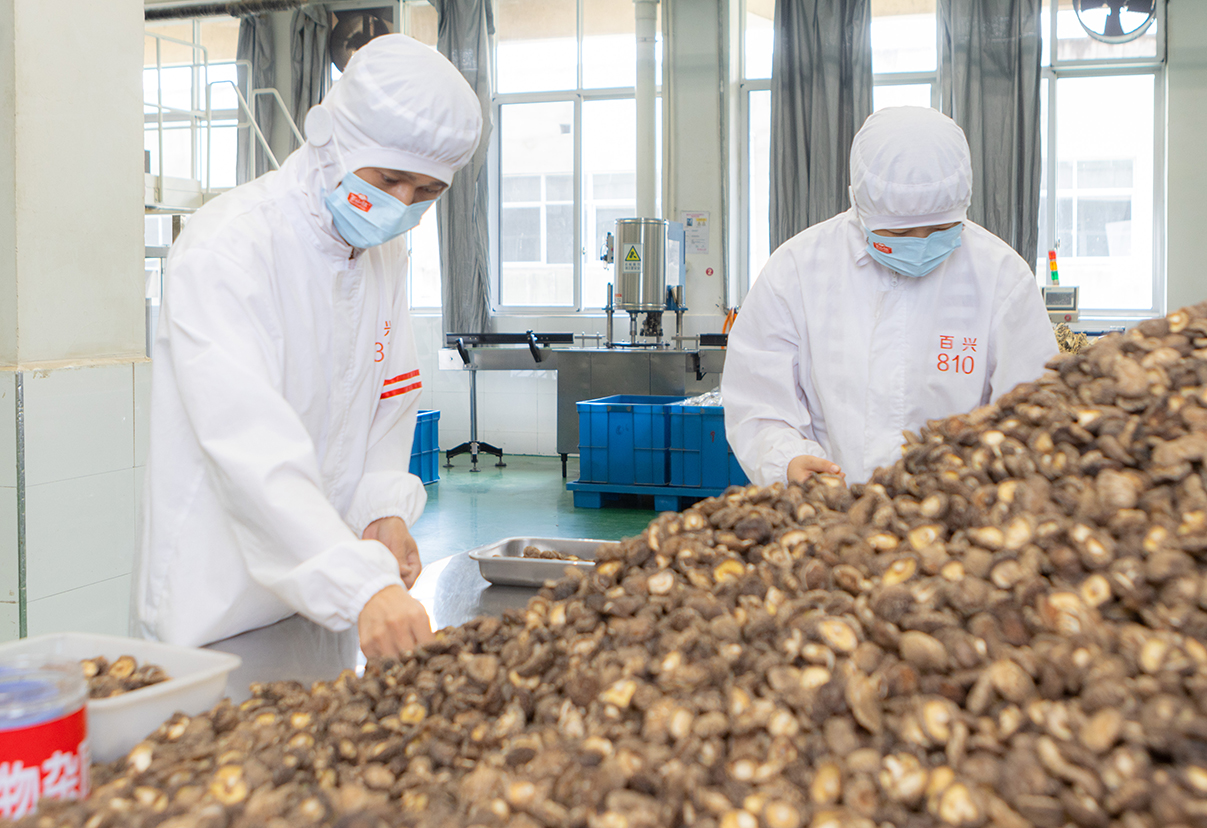 dried mushrooms factory 2.jpg